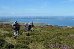 View to Anglesey from Foel Lwyd